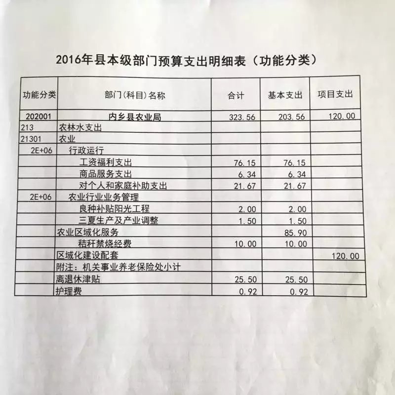 農(nóng)業(yè)局2016年支出明細(xì)表.jpg